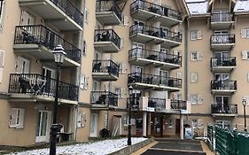 Grand Panorama T2 Aux Pieds Des Telecabines 